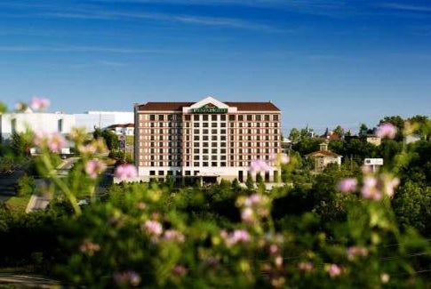 A multi-story hotel with a green roof sign stands amidst greenery and pink flowers, under a clear blue sky.