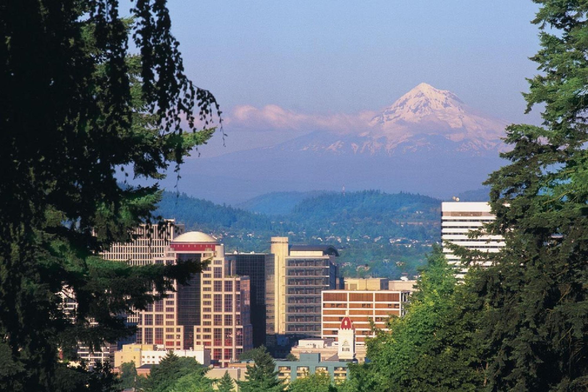 City skyline with tall buildings in the foreground, lush green trees, and a snow-capped mountain in the background under a clear blue sky.
