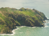 Aerial view of a rocky coastal headland with green grass, cliffs, and waves from the teal ocean crashing against the shoreline.
