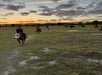People horseback riding on a grassy field at sunset, with a cloudy sky and trees in the background.