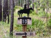 Equine trail marker. - Guided Horseback Trail Ride in Clermont, FL