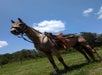 A saddled horse stands on a grassy field under a clear blue sky with a few clouds.
