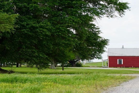 A field with walking paths, several trees on the left side, and a red building with a white roof on the right at the Felicity Plantation in Vacherie, LA