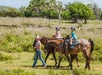 Gunstock Ranch Horseback Rides Oahu - Kahuku, HI