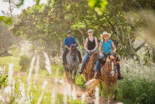 Gunstock Ranch Horseback Rides Oahu - Kahuku, HI