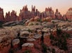 View looking up at the Devils Kitchen hike Needles District of Canyonlands National Park at sunset.