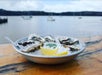 A plate of oysters on ice with lemon wedges and a small dish of sauce. Two spoons are placed on the plate. The background shows a calm body of water with boats and distant hills.