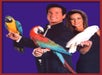 Hamners' New Year's Eve Fiesta in Branson, Missouri