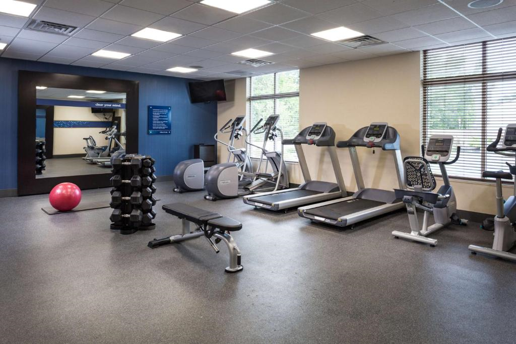 A gym with treadmills, elliptical machines, a flat bench, dumbbells, a pink exercise ball, and a wall mirror. Ceiling lights and a window provide lighting.