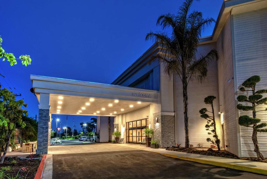 Hotel entrance at dusk with bright lights under the canopy, palm trees, and manicured bushes lining the pathway.