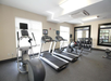 A gym with three treadmills, a stationary bike, a row of dumbbells, and a bench. Walls have mirrors and windows provide natural light.