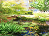 Garden with pond.