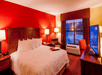 1 King bed at Hampton Inn & Suites Tampa-North.