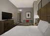 Guest room with one king bed, sofa bed, and a flat-screen TV.