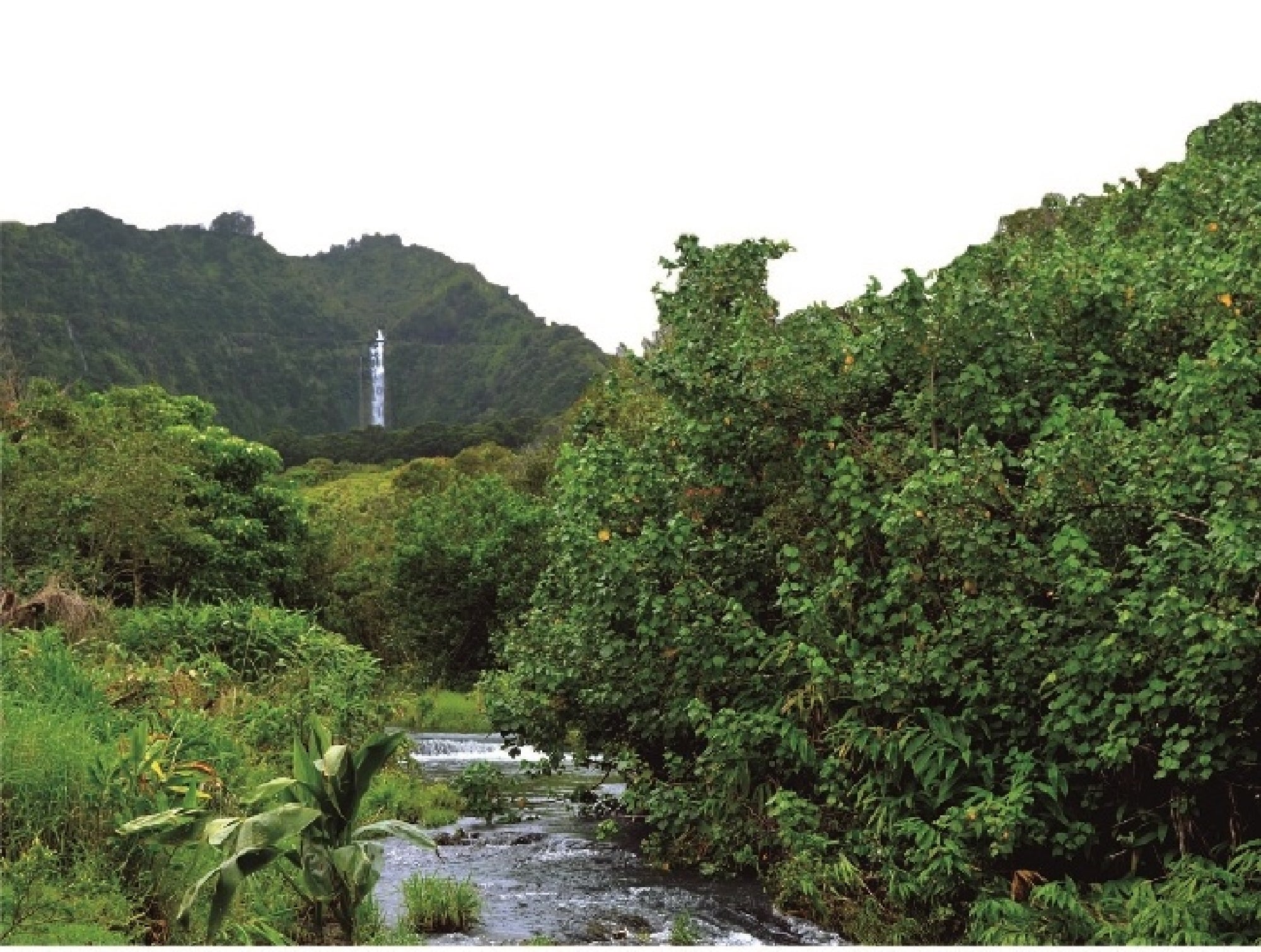 Molokai’s soaring waterfall seen from a distance.
