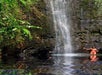 Hana Waterfall & Pool Swimming