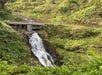 A waterfall cascades down a rocky slope beneath a small bridge, surrounded by dense green vegetation and hillside.