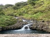 Hana and Beyond Tour in Maui, Hawaii