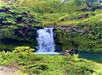 Hana and Beyond Tour in Maui, Hawaii