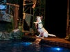 Diving dogs - Hatfield & McCoy Dinner Show in Pigeon Forge, Tennessee