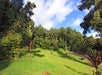 Kaumahina State Park on the Heavenly Hana Tour in Maui Hawaii USA.