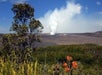 A plume of white smoke rises from a distant volcano under a blue sky, with green vegetation and orange flowers in the foreground.