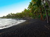 A tropical beach with black sand, palm trees, gentle waves, and a few people in the distance under a clear blue sky.