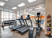 A gym with three treadmills, an elliptical machine, a set of dumbbells, and a rack of medicine balls, located in a room with glass walls and ample natural light.