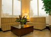 A sitting area with two yellow striped couches and a brown coffee table with a plant on it in front of windows at the Hilton Garden Inn New Braunfels.