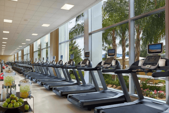 A row of treadmills facing large windows overlooking palm trees, with a table holding apples and water dispensers in the foreground.