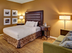 Hotel room with a double bed, four framed photos on the wall, a table with a lamp and ice bucket, a floor lamp, and a green sofa. Brown and beige color scheme.