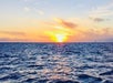 Sunset Cocktail Cruise