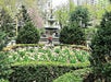 City Hall Park