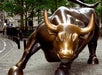 Charging Bull