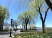 Battery Park