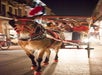 A mule adorned with red harness and feathers pulls a carriage with several people along a city street at night.