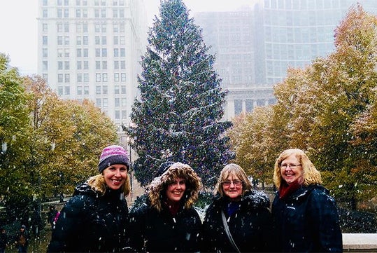 Holiday Hike: Season Sampling Walking & Food Tour with Bobby's Bike Hike in Chicago, IL