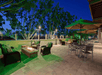Relaxing outdoors with seating area.