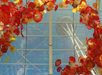 View of the Space Needle.