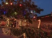 A house and tree adorned with numerous colorful Christmas lights, featuring lit ornaments and holiday decorations in the yard.