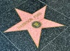 Star - Harrison Ford - Hollywood Day Tour from Las Vegas in Las Vegas, Nevada
