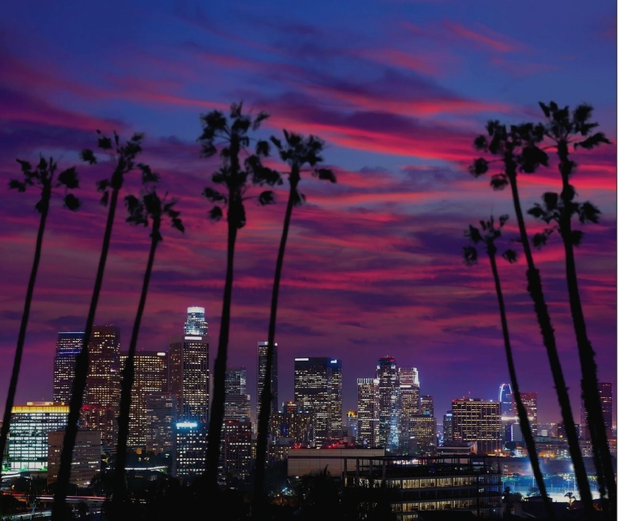Tall palm trees are silhouetted against a vibrant sunset sky with pink clouds, overlooking a cityscape with illuminated buildings.