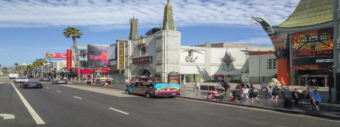 Hollywood Sightseeing and Celebrity Homes Tour in Los Angeles, California