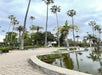 A scenic park with tall palm trees, a pond, stone benches, and a paved walkway under a cloudy sky.