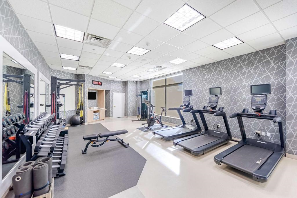 A modern gym with treadmills, a stationary bike, free weights, resistance machines, a workout bench, and large mirrors on the wall.