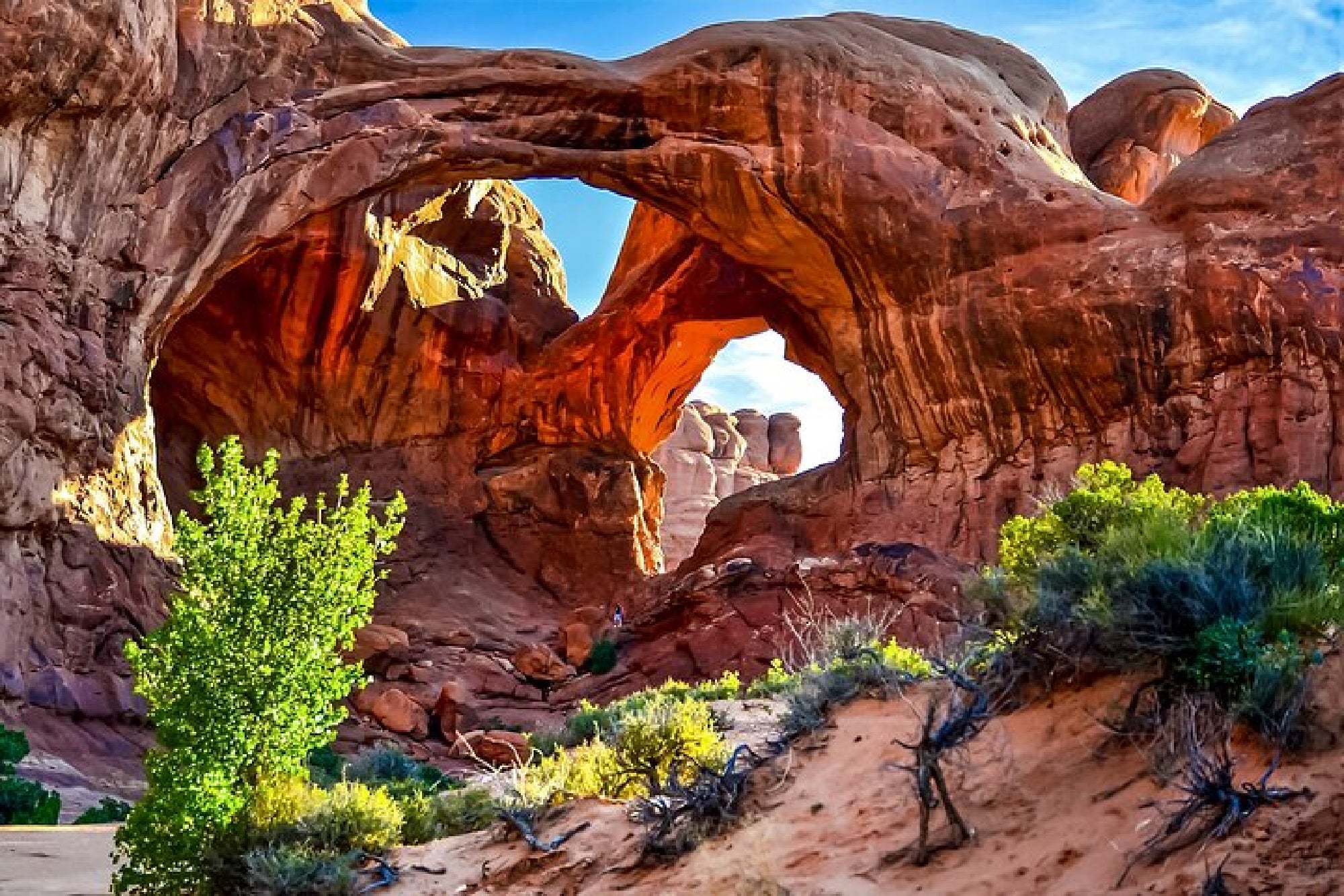Large sandstone arches and rock formations rise above desert vegetation under a blue sky in a national park landscape.