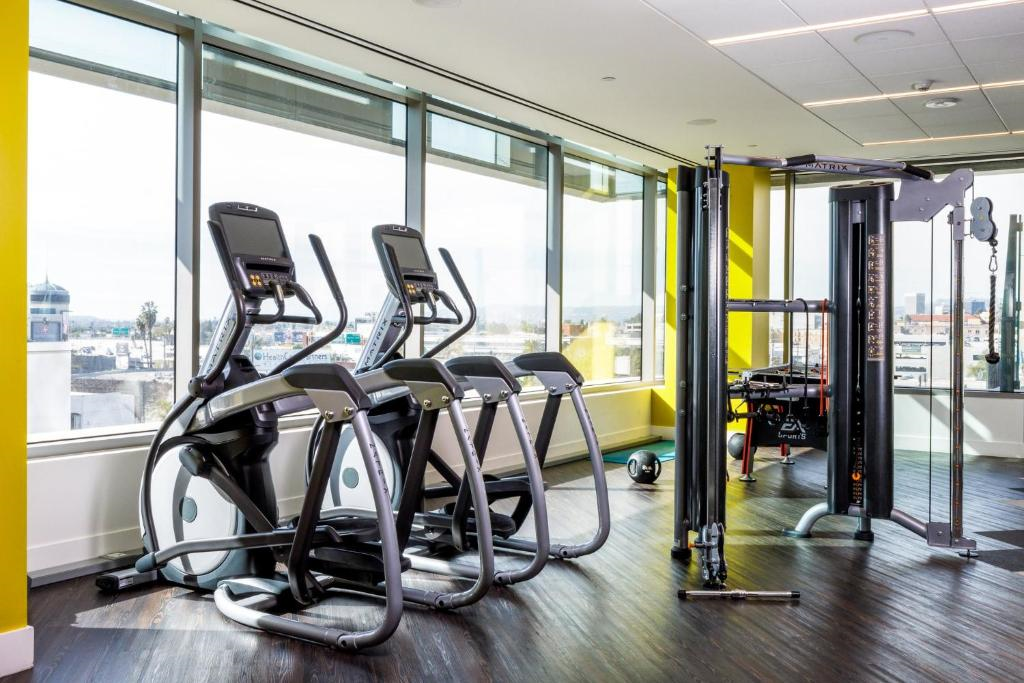 A bright gym with three treadmills, a cable machine, weights, and large windows showing an outdoor view.
