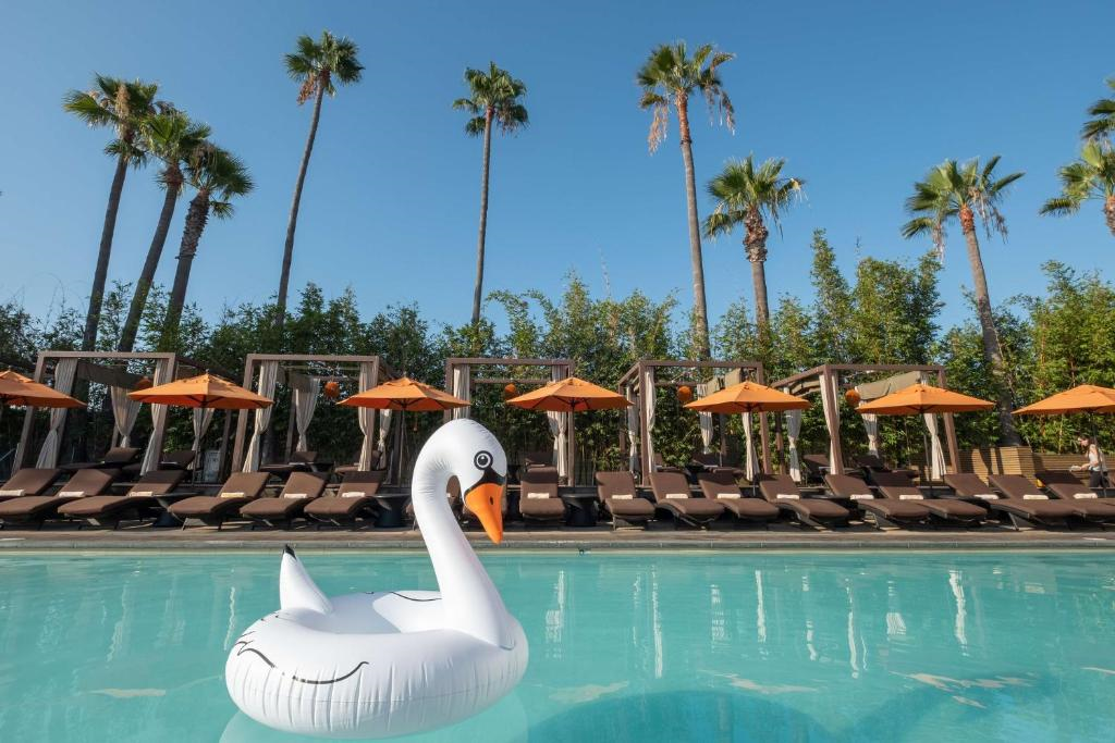 Enjoy a refreshing swim with poolside loungers and cabanas.