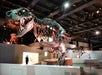 Large Tyrannosaurus rex skeleton displayed in a museum exhibit, with a person visible in the background and additional skeletons nearby.