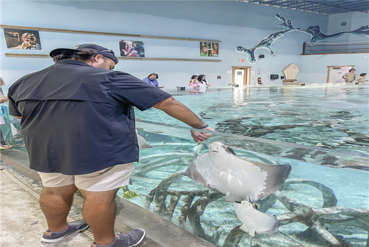 Stingray exhibit at the Houston Interactive Aquarium